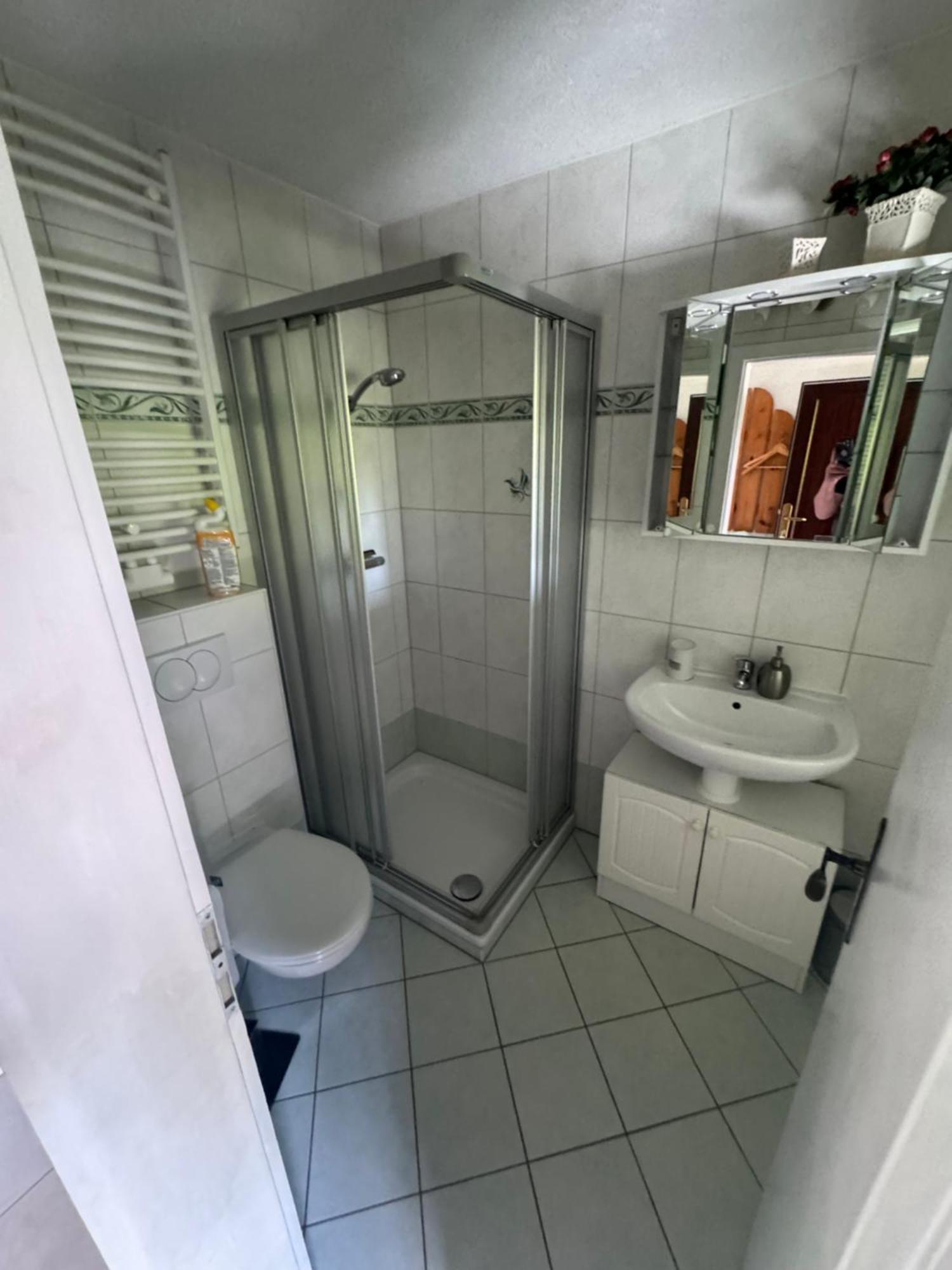 Ferienwohnung Hinterhermsdorf Glaser زبنيتس المظهر الخارجي الصورة